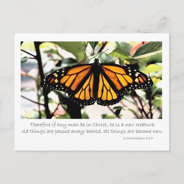 1 Corinthians 5:17 If any man be in Christ Postcard (Front)