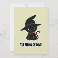1.cute beautiful black cat meow of love