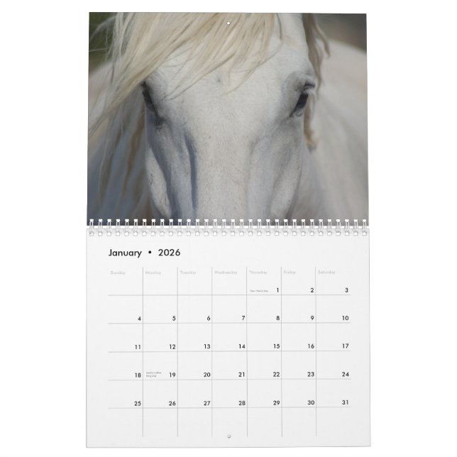 #1 Draught   Horses Calendar (Jan 2026)