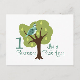 1 Partridge In Pear Tree Postcard