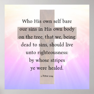 1 Peter 2:24 Poster