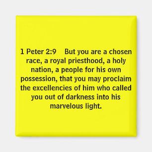 1 Peter 2:9 But you are a chosen race, a roy... Magnet