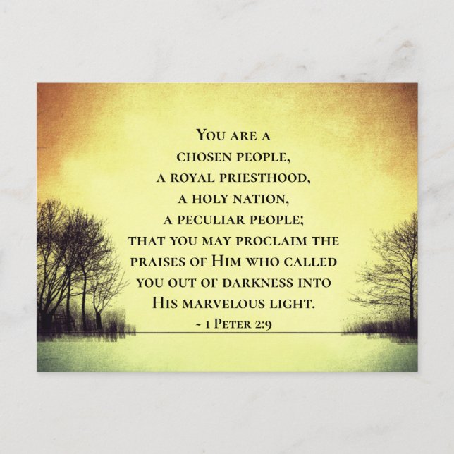 1 Peter 2:9 You are a Chosen People, Bible Postcard (Front)