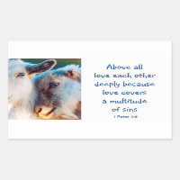 1 Peter 4|:8 Above All Love Deeply Inspirational