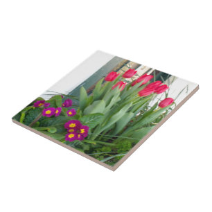 1 Primrose Tulips Tile