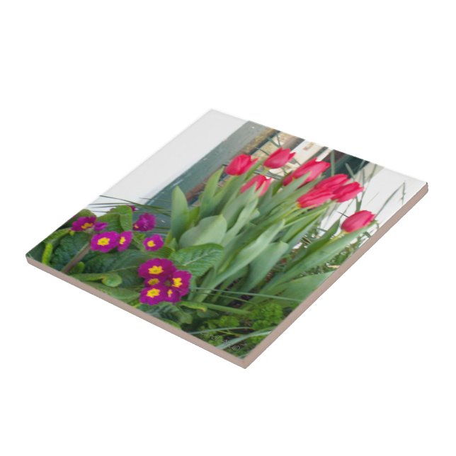 1 Primrose Tulips Tile (Side)