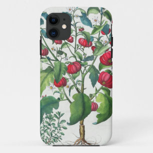 1.Solanum Pomiferum; 2.Amaracus vulgaris, from the iPhone 11 Case