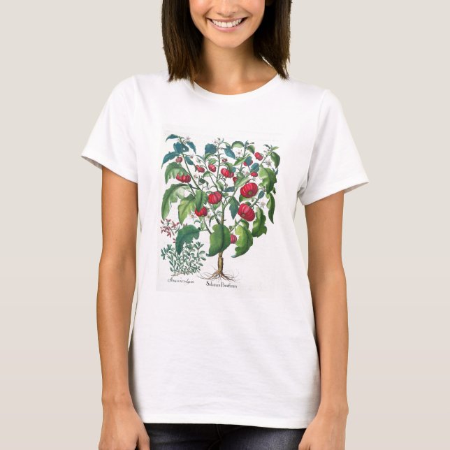 1.Solanum Pomiferum; 2.Amaracus vulgaris, from the T-Shirt (Front)
