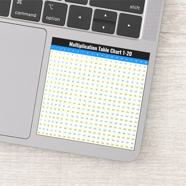 1 to 20 Multiplication Times Tables Chart (Detail)