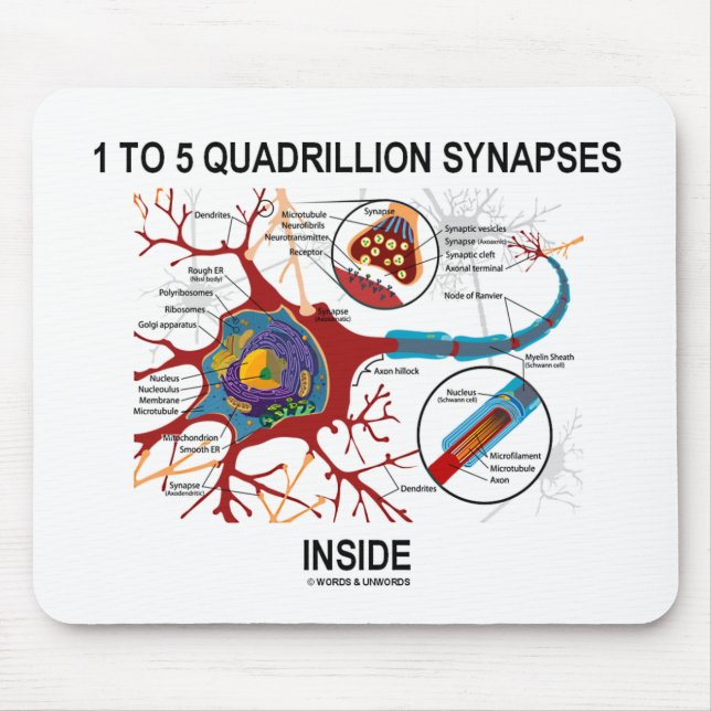 1 To 5 Quadrillion Synapses Inside (Neuron) Mouse Mat (Front)