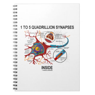 1 To 5 Quadrillion Synapses Inside Neuron Synapse Notebook