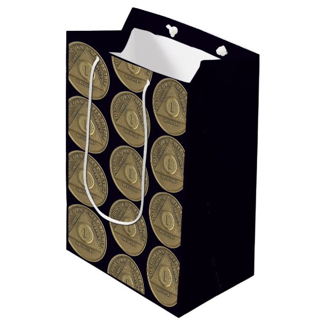 1 Year AA Anniversary Coin Medium Gift Bag (Front Angled)