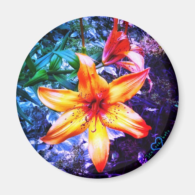 1DAYLILLY MAGNET (Front)