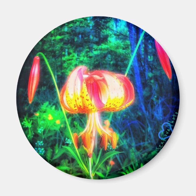 1MICHIGAN LILLY MAGNET (Front)