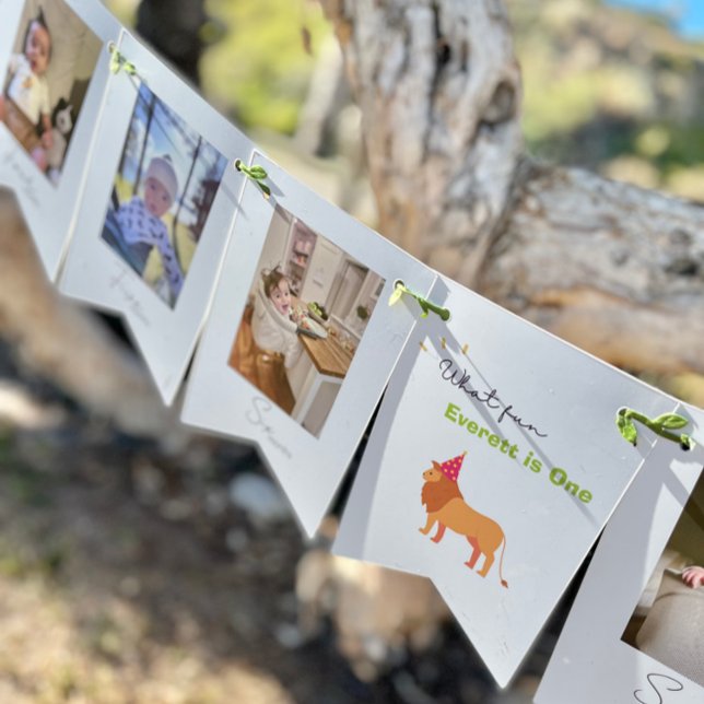 1st Birthday 12 Month Photo Bunting Banner  (Wild One First Birthday Banner for a PArty Animal)
