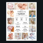 1st Birthday Baby Milestone Custom Photo Collage Poster<br><div class="desc">Celebrate a very special milestone with this Gender-Neutral 1st Birthday Poster featuring a 12-photo collage design that highlights each month of your child’s first year. You can easily customize the design by adding 12 photos - one for each month from newborn to one year old, creating a meaningful and heartwarming...</div>