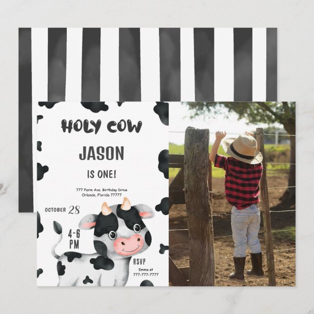 1st Birthday Boy Cow Birthday Photo Invitation (Front/Back)