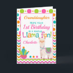 1st Birthday Cute Llama Fun Granddaughter Card<br><div class="desc">A fabulous colourful polka dot and chevron 1st  birthday card.  Send to a baby girl to wish her a  'whole llama fun' on her birthday. Bright pinks,  teals and orange make this a eye catching design. Personalise with your own message. Perfect for a great  granddaughter or niece.</div>