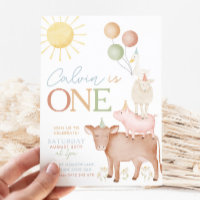 1st Birthday Farm Animals Barnyard Party Boys