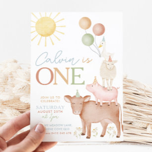 1st Birthday Farm Animals Barnyard Party Boys Invitation