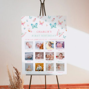 1St Birthday Monthly Photo Sign Rainbow Butterfly