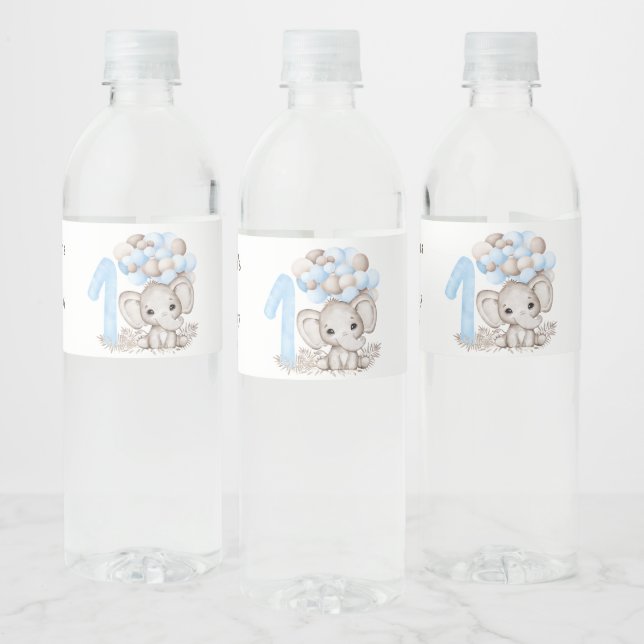 1st Birthday Party | Boy | Water Bottle Label (Bottles)