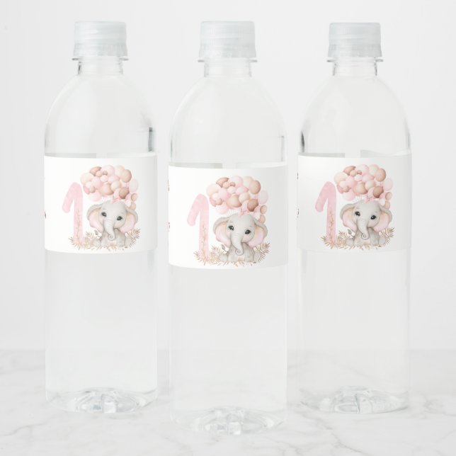 1st Birthday Party | Girl | Water Bottle Label (Bottles)