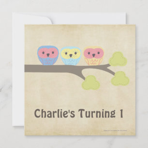 1st Birthday Party Retro Baby Owls Invitation