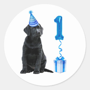 1st Birthday Puppy Theme- Cute Dog Blue Boy Pawty Classic Round Sticker