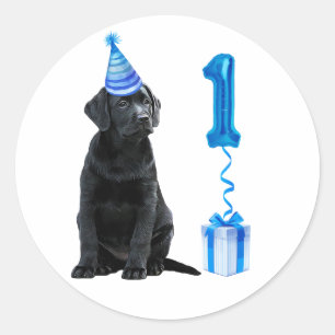 1st Birthday Puppy Theme- Cute Dog Blue Boy Pawty Classic Round Sticker
