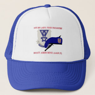 1ST BN (ABN) 503D INFANTRY 101ST AIRBORNE HAT