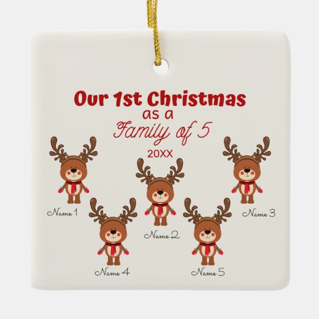 1st Christmas as a Family of 5 Ceramic Ornament (Front)