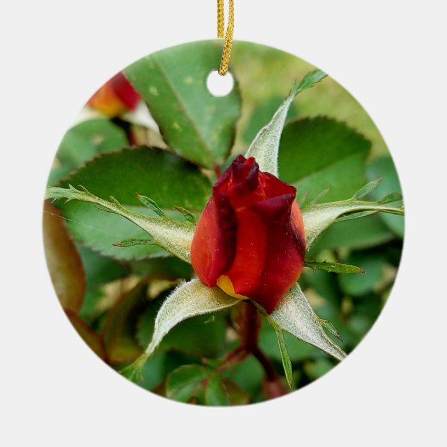 1st Christmas Red Rose Bloom Ceramic Tree Decoration (Front)