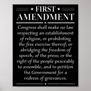 1st First Amendment U.s. Constitution Patriot Poster