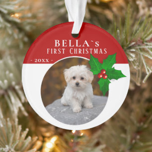 1st Puppy`s Christmas Holly Berry Dog Pet Photo Ornament