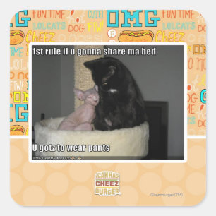 1st rule if u gonna share ma bed square sticker
