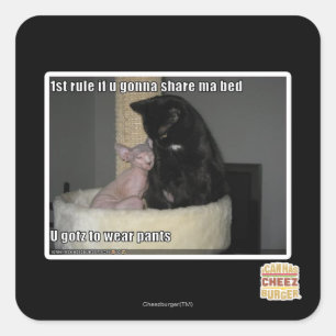 1st rule if u gonna share ma bed square sticker