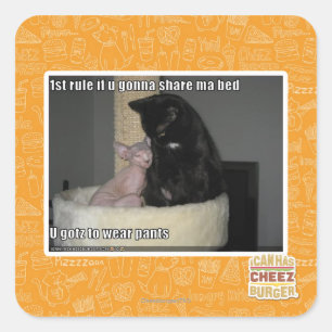 1st rule if u gonna share ma bed square sticker