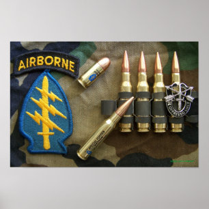 1st  special forces green berets iraq flash Print