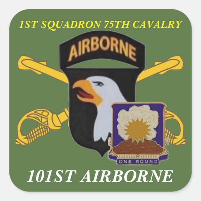 1ST SQUADRON 75TH CAVALRY 101ST AIRBORNE STICKERS (Front)