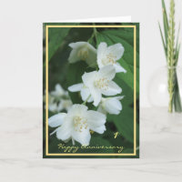 1st Wedding Anniversary Wishes Jasmine Elegant