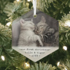 1st Xmas 2 Cats or Any Pet Simple Photo Hexagon