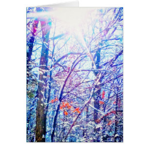 1Winter Sun Card
