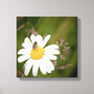 1x1 Collection, Flower with Honey Bee Canvas Print