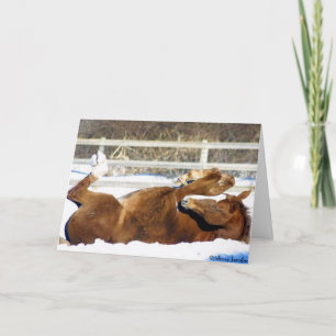 2005 OMRH Christmas Card Honorable Mention