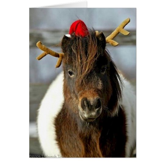 2005 OMRH Christmas Card Photo First Place Winner
