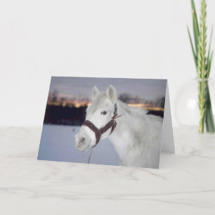 2005 OMRH Christmas Card Photo Honorable Mention