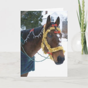 2005 OMRH Christmas Card Photo Third Place Winner