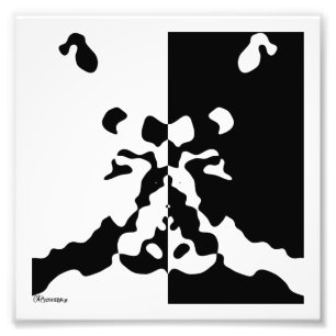 2006_0031 Notan Photo Print