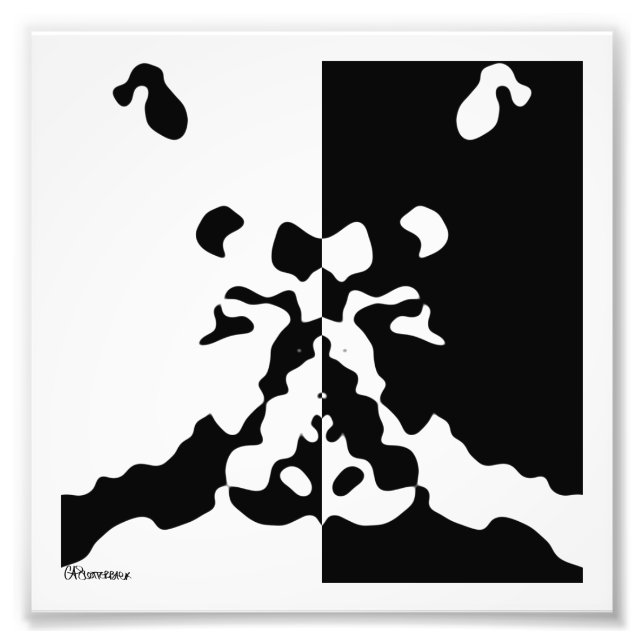 2006_0031 Notan Photo Print (Front)